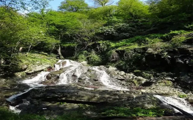 آبشار صفارود یکی از مکان های گردشگری رامسر
